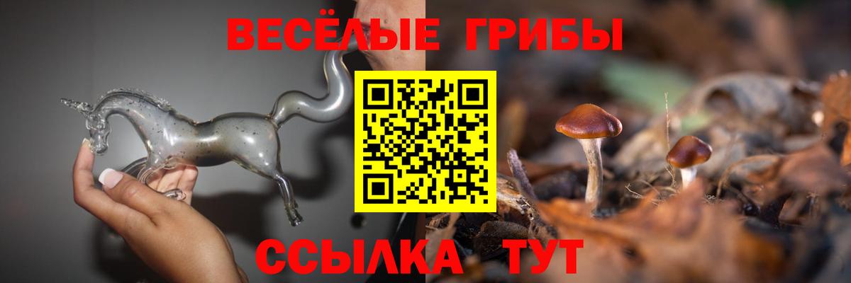 Псилоцибиновые грибы ЛСД  Вход с VPN  Копейск  сколько стоит  Псилоцибиновые грибы Psilocybe 